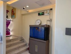 -海涛医疗美容·面部抗衰·注射美鼻