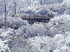 -瓦屋山景区