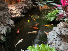 -广州白天鹅宾馆