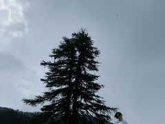 -芦芽山旅游度假区