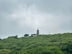 -苏州上方山国家森林公园