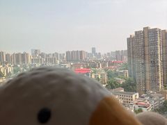 -芷迹江景酒店(五一广场汇景城店)