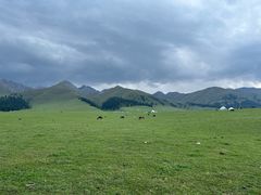 -新疆那拉提国家旅游度假区