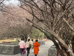 -国际非物质文化遗产博览园