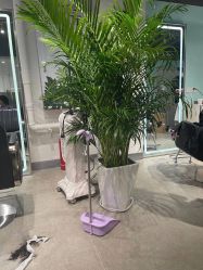 -Will+ Hair Studio