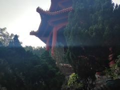 -南沙天后宫景区