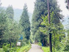 -九峰山