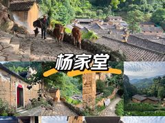 -杨家堂村