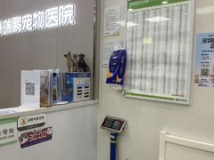 -瑞鹏宠物医院华南总院·夜诊·心脏科·骨科