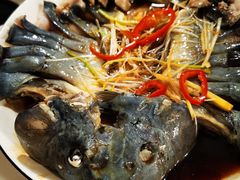 -煲来饱去冷水鱼