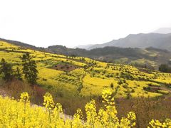 -石潭村