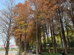 -荔芳传统糖水铺