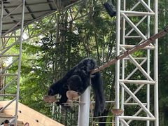 -清迈夜间动物园