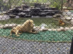 -北京野生动物园