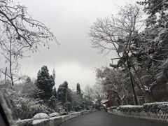 景点-青岛德国总督楼旧址博物馆