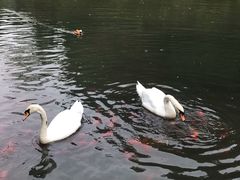 -臻悦海宴.家宴(奥体中心店)
