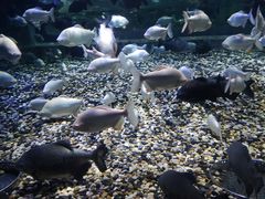 -成都浩海立方海洋公园