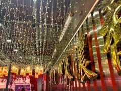 -朱光玉火锅馆(正弘城店)