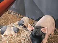 -E+有冰工厂·昆仑寒宫2(五角场店)