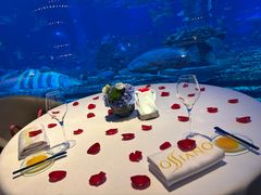 -亚特兰蒂斯•OSSIANO奥西亚诺海底餐厅