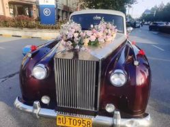 -蚂蚁婚车