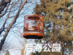 -后海公园