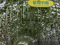 -北戴河集发农业梦想王国