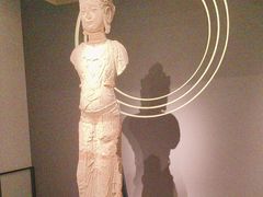 -四川大学博物馆