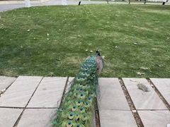 -西昌邛海宾馆