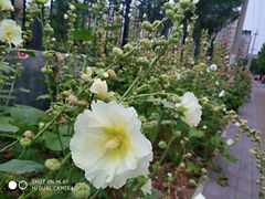 -南宫温泉水世界