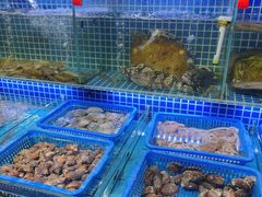 水产区-必点海鲜·鲅鱼水饺(鞍山西道店)