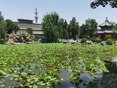 -莲池书院博物馆