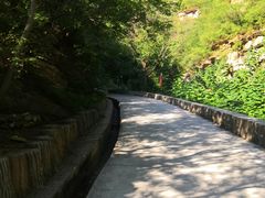 -北京上方山国家森林公园