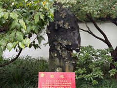 -无锡梅园公园