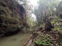 -怀托摩萤火虫洞