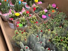 -循礼门鲜花花市(武汉循礼门店)