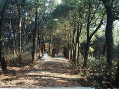 -东山风景区(洞庭东山)