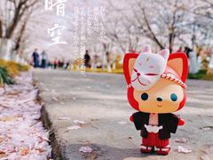 -高东镇樱花园