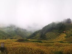 -紫鹊界梯田景区