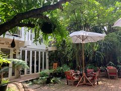 -Fern Forest Cafe