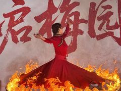 -无锡梅园公园