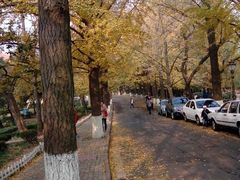 android_upload_pic-八大关景区