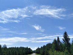 -塞罕坝国家级自然保护区