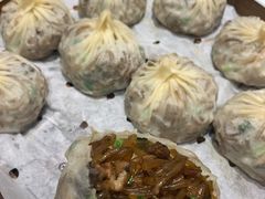 地皮菜包子-百姓渔村(平阳路店)