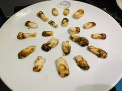 鲜松茸-千岛蚝高压锅生蚝·人参火锅(白云万达店)