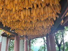 -金堂县云顶石城风景区