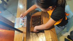 -DoDo梦想城(泉舜购物中心店)