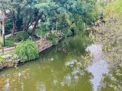 -上海财经大学(国定路校区)
