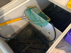 菜单-重庆鸡公煲·青锅花椒鱼(牡丹江路店)