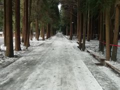 -武陵山森林公园